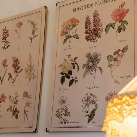 Arcadia Apart Otel Orena