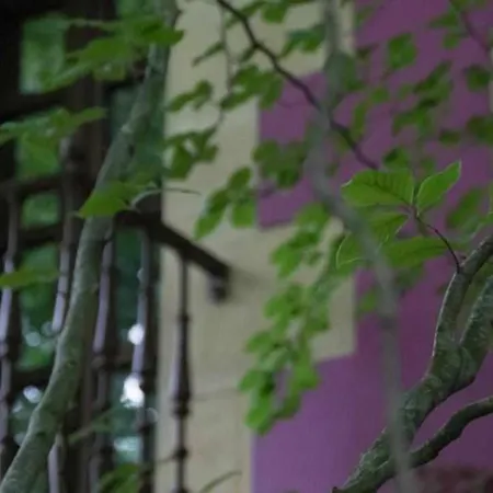 Arcadia Apart Otel 4*