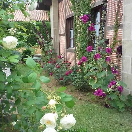 公寓式酒店 Arcadia