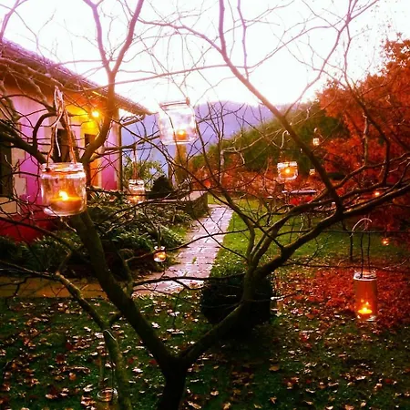 Arcadia Orena
