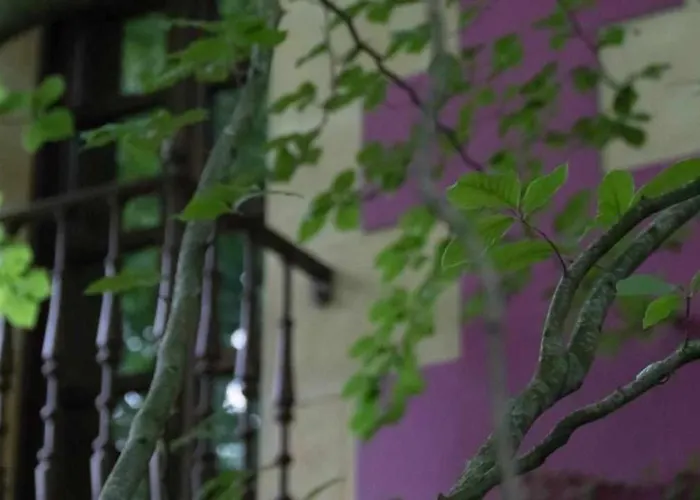 Arcadia Aparthotel 4*