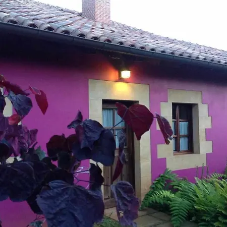 Aparthotel Arcadia 4*